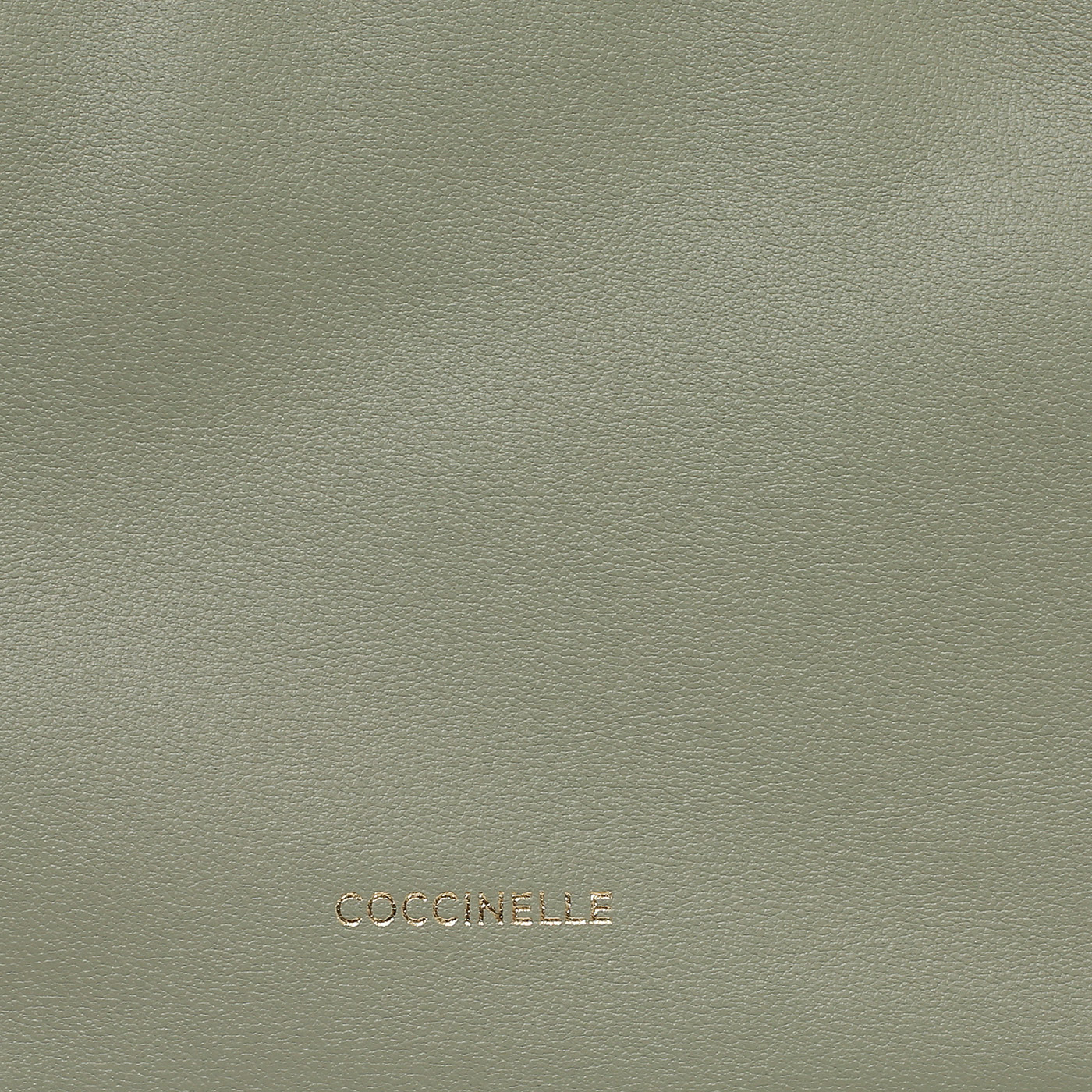 Кожаная сумка Coccinelle CoccinelleLisbet