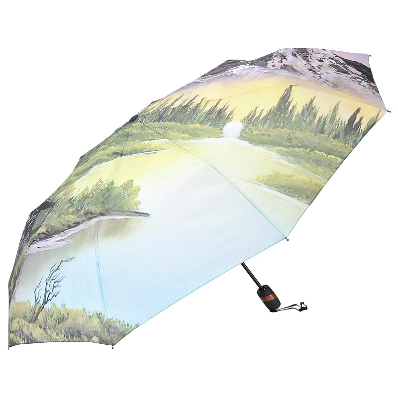 Raindrops Складной зонт с горным принтом