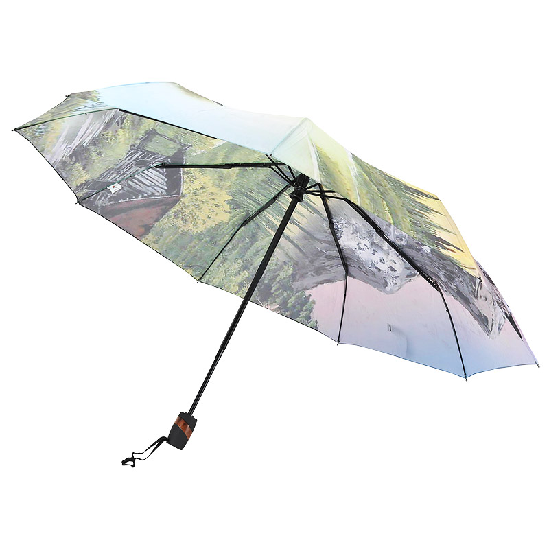 Складной зонт с горным принтом Raindrops 
